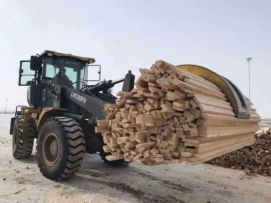 【开好局 起好步】中林集团满洲里伊利托物流基地冰天雪地勇担当