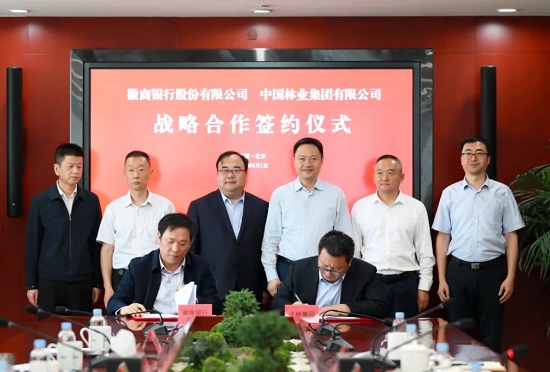 中林集团与徽商银行签署战略合作协议