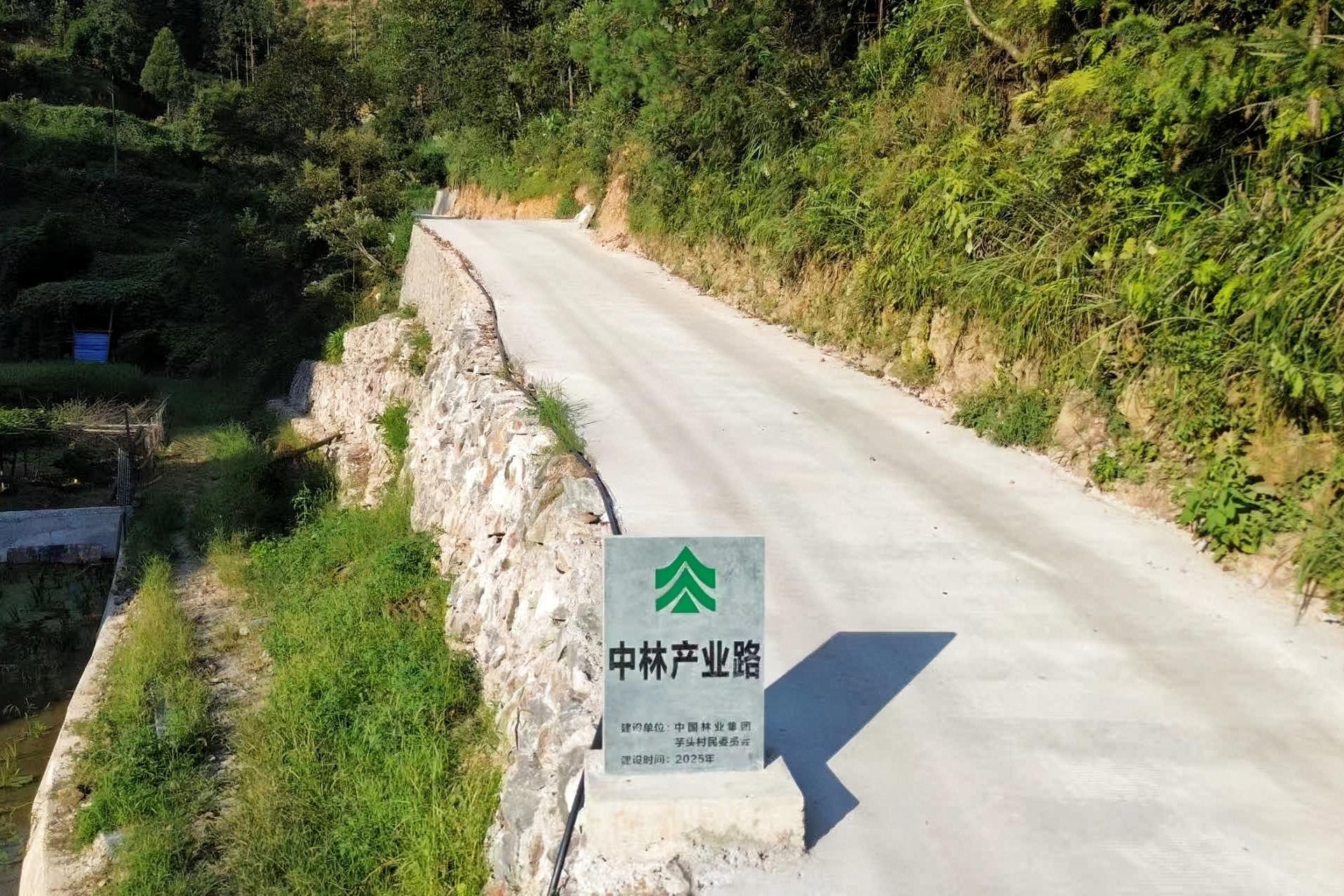 中林帮扶绘新卷 红色侗乡焕新颜