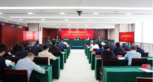 中国林业集团召开2026年一季度经济运行分析会