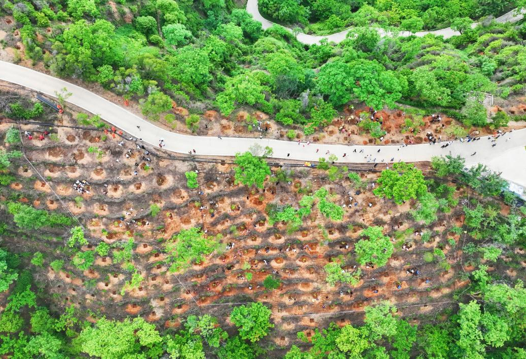 春风拂绿野 实干争春早——中国林业集团开局即冲刺 抢抓时节 全力奋战