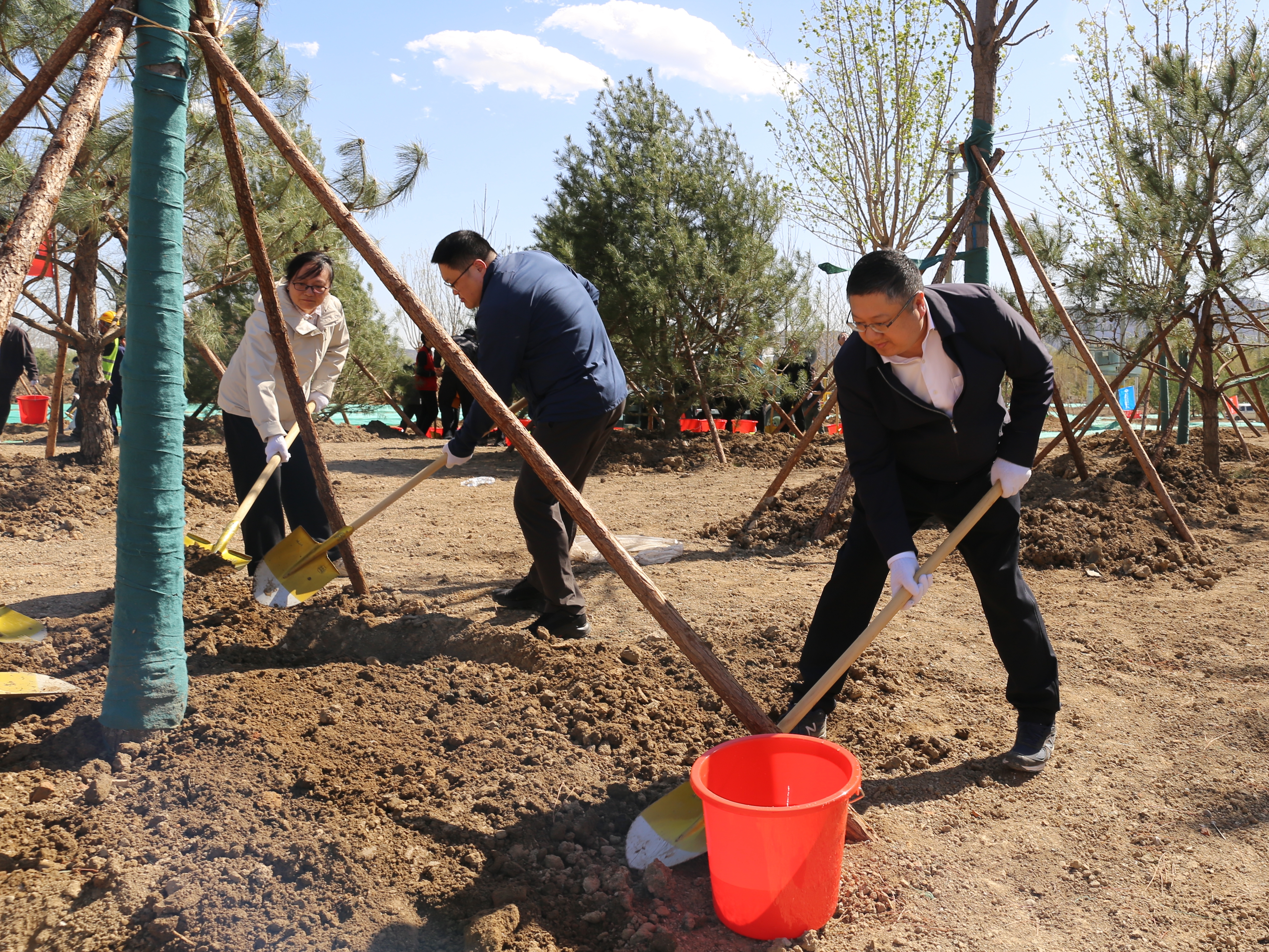 植绿尽责 共建家园——中国林业集团启动2026年国土绿化“春风行动”