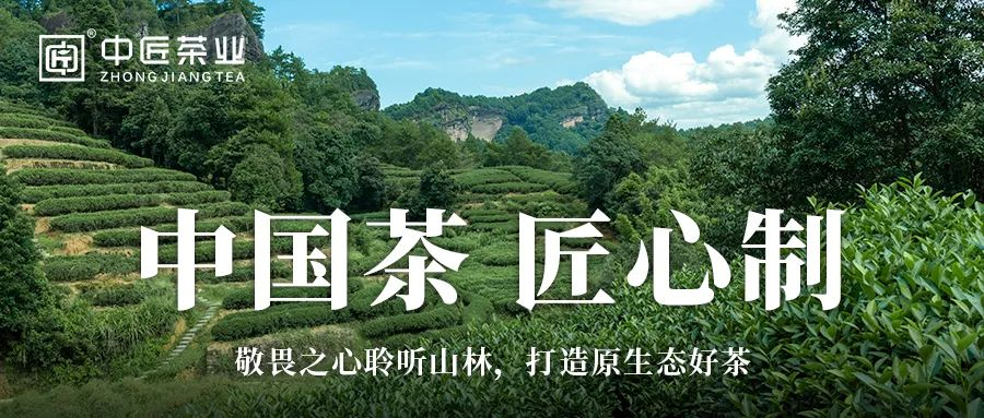 中匠茶业·学茶小课堂｜今日小雪，请喝一杯中匠茶！