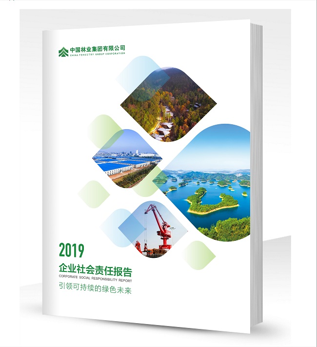 集团公司参加第三届中国国际进口博览会