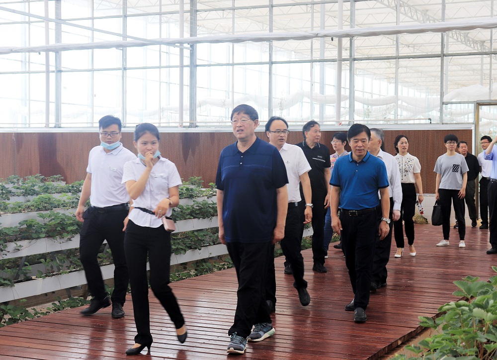 集团公司发布《2019年社会责任报告》