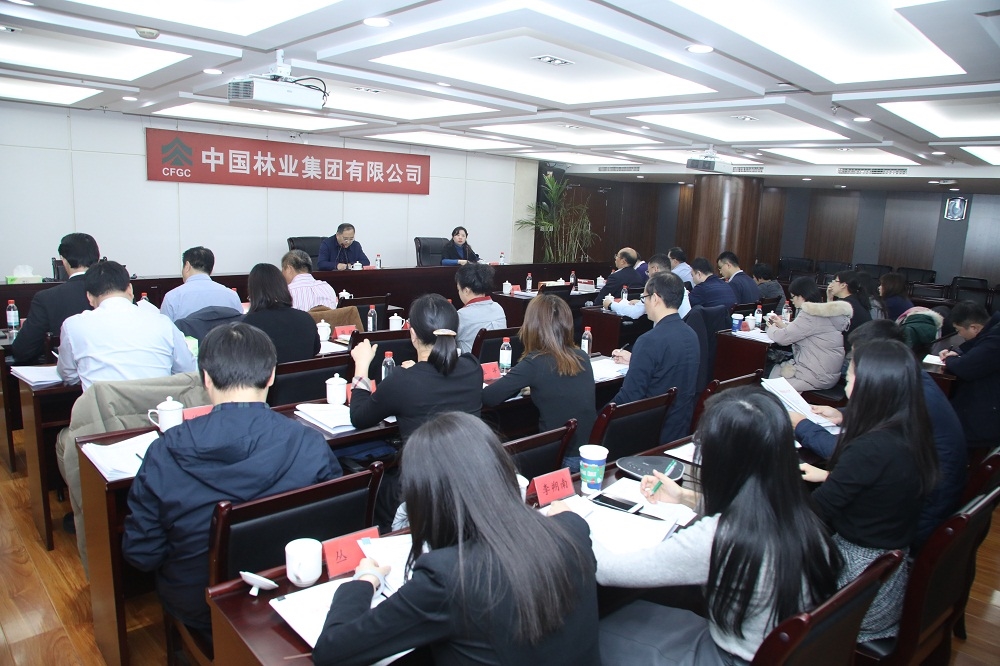 集团公司召开“总部机关化”问题专项整改工作推进会