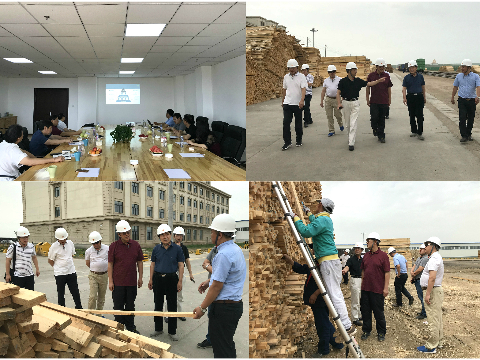 王荣斌到雷州林业局公司调研