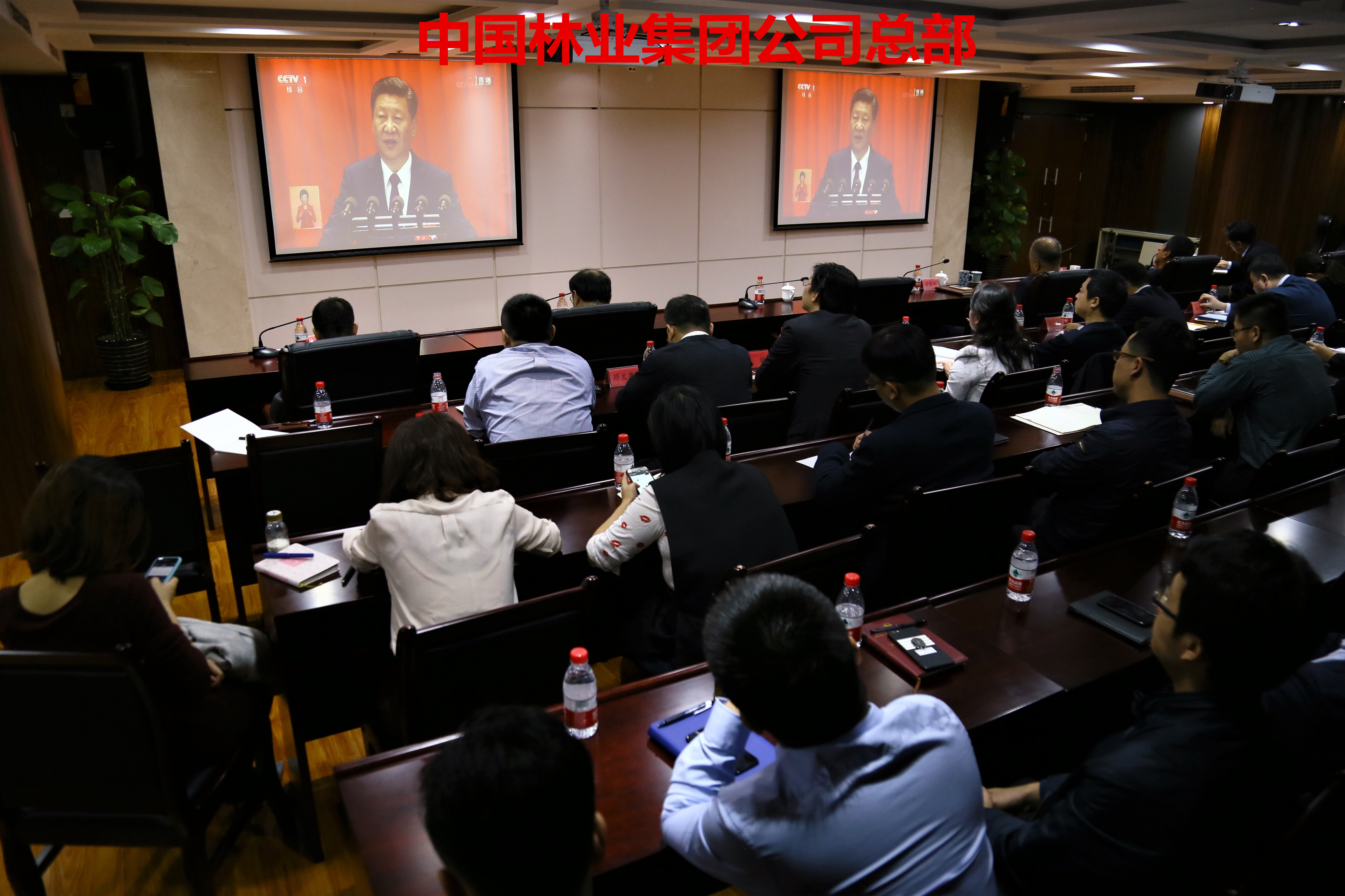 集团公司副总经理朱成庆出席中林雅德秘侬欧盟外交官小镇项目授权仪式